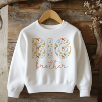 Big or Lil Brother Colourful Dinosaur Pattern Sweatshirt for Kids
