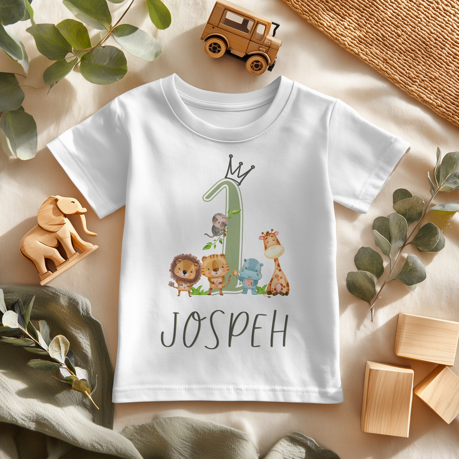 More birthday t-shirts