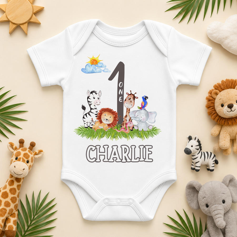 More birthday bodysuits
