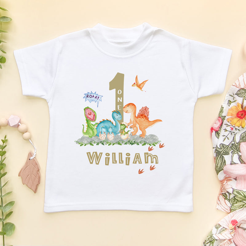 1st Birthday Dinosaur Themed Personalised T Shirt (6565597806664)